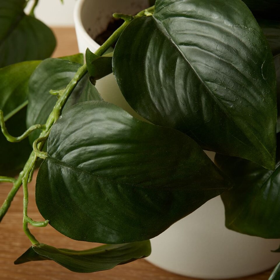 Faux Potted Green Philodendron